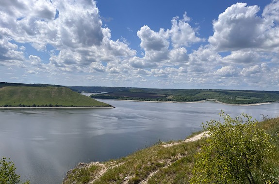 Картинка бакота 